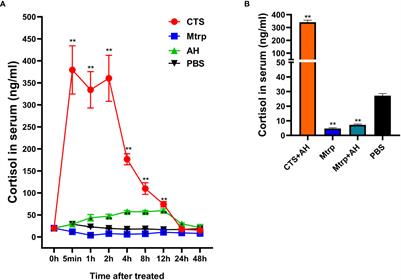 The early function of cortisol in liver during Aeromonas hydrophila infection: Dynamics of the transcriptome and accessible chromatin landscapes